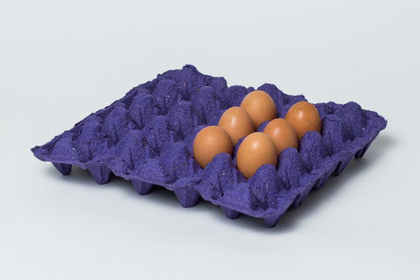 Turquoise Blue Duck and/or Turkey Egg Cartons (6 eggs)