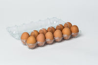 12 Egg Clear Plastic Egg Cartons w/ FREE SHIPPING*